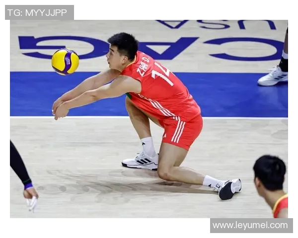 伊朗男排与巴西男排激情对决展现排球魅力与竞技精神