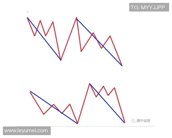 广州飞盘队的耐力研究与训练方法探讨及其对比赛表现的影响分析MBA