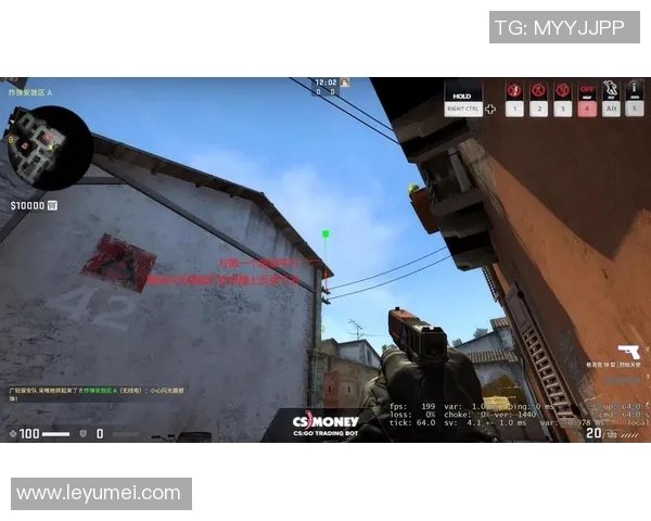 CSGO战术解析：深入探讨LNG战队的进攻策略与执行细节