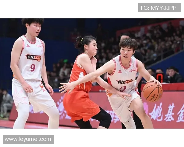 四川与辽宁2016年对决回顾：激情碰撞与精彩瞬间的篮球盛宴