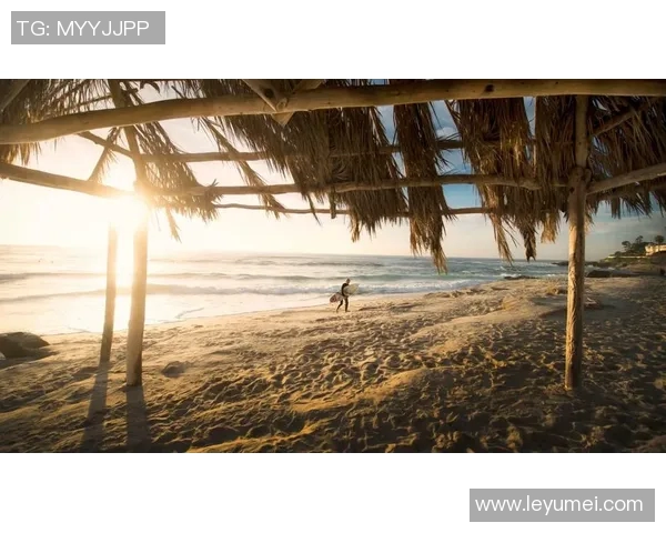 极限运动的战术解析：武汉极限运动队如何构建区域防守体系