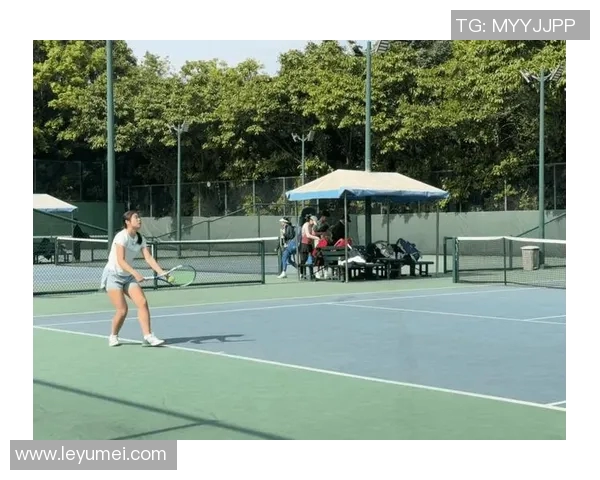 深圳网球队在全国网球战术排行榜中荣获第七名的辉煌成就分析