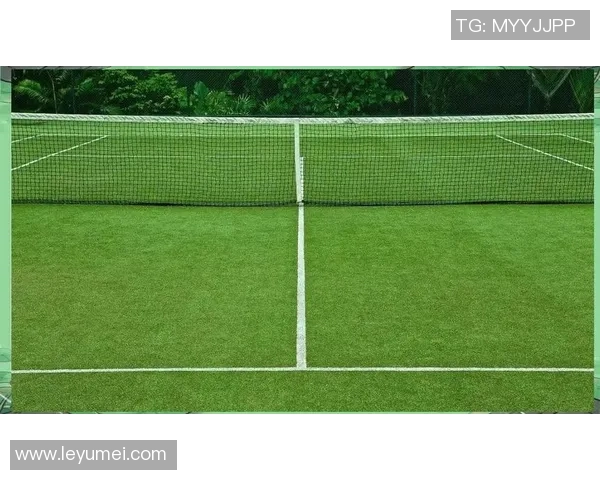 深入分析上海网球队的转换打法及其战术优势与应用策略