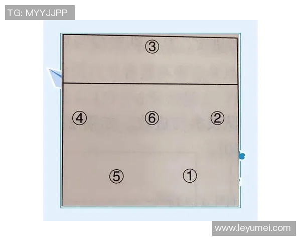 深圳排球队的盯防战术解析与深度剖析排球竞技的策略与技巧